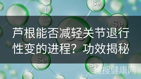 芦根能否减轻关节退行性变的进程？功效揭秘