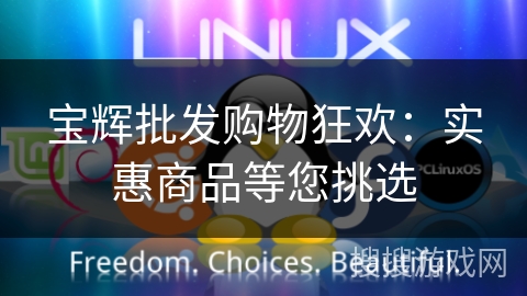 宝辉批发购物狂欢：实惠商品等您挑选
