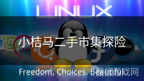 小桔马二手市集探险