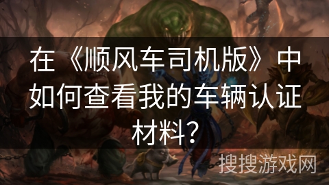 在《顺风车司机版》中如何查看我的车辆认证材料？