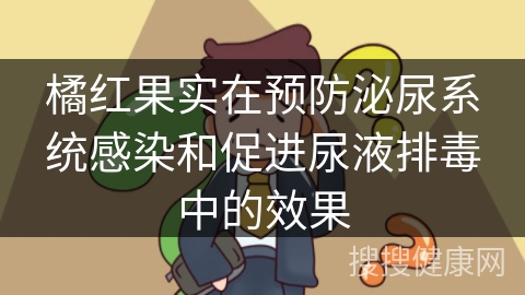 橘红果实在预防泌尿系统感染和促进尿液排毒中的效果