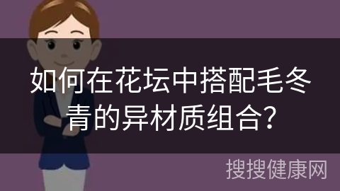 如何在花坛中搭配毛冬青的异材质组合？