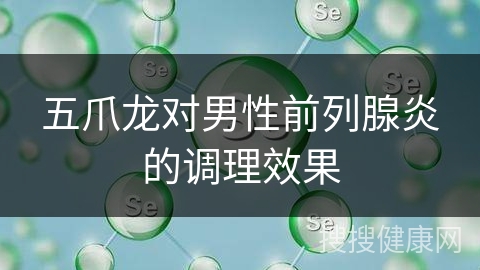 五爪龙对男性前列腺炎的调理效果