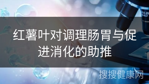 红薯叶对调理肠胃与促进消化的助推