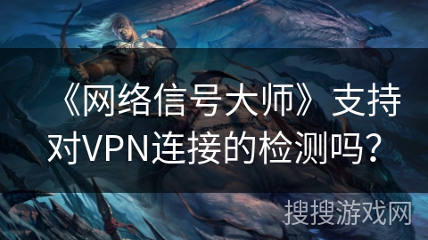 《网络信号大师》支持对VPN连接的检测吗？