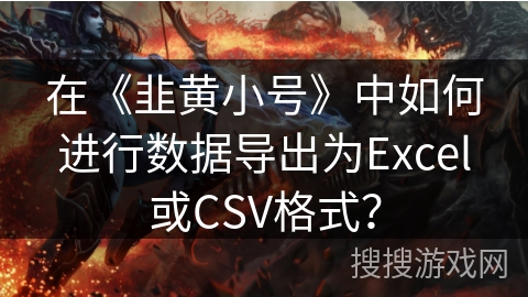 在《韭黄小号》中如何进行数据导出为Excel或CSV格式？
