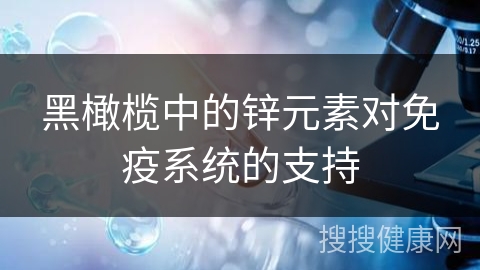 黑橄榄中的锌元素对免疫系统的支持