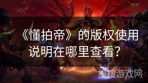 《懂拍帝》的版权使用说明在哪里查看？