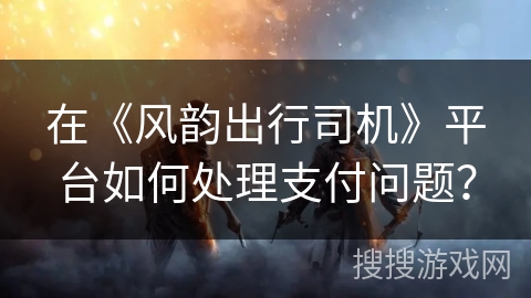在《风韵出行司机》平台如何处理支付问题？
