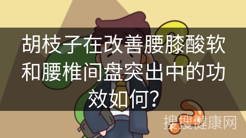 胡枝子在改善腰膝酸软和腰椎间盘突出中的功效如何？