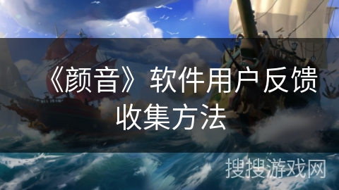 《颜音》软件用户反馈收集方法 《颜音》软件用户反馈收集方法