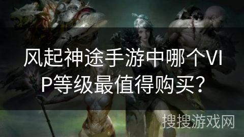 风起神途手游中哪个VIP等级最值得购买？