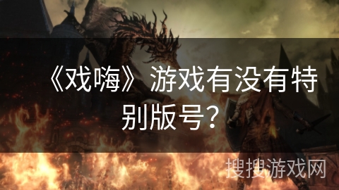 《戏嗨》游戏有没有特别版号？