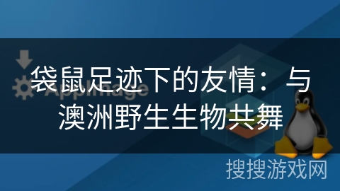 袋鼠足迹下的友情：与澳洲野生生物共舞