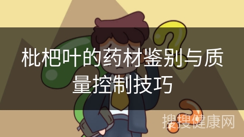 枇杷叶的药材鉴别与质量控制技巧