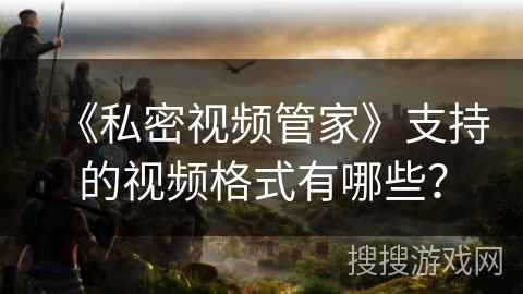 《私密视频管家》支持的视频格式有哪些？