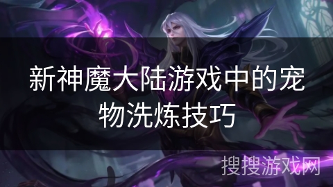 新神魔大陆游戏中的宠物洗炼技巧 新神魔大陆游戏中的宠物洗炼技巧