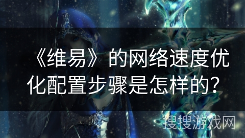 《维易》的网络速度优化配置步骤是怎样的？