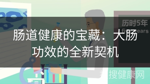 肠道健康的宝藏：大肠功效的全新契机