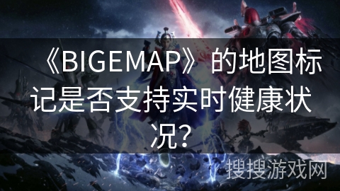 《BIGEMAP》的地图标记是否支持实时健康状况？