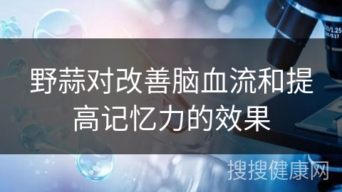 野蒜对改善脑血流和提高记忆力的效果