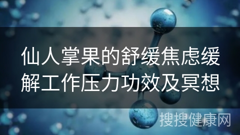 仙人掌果的舒缓焦虑缓解工作压力功效及冥想