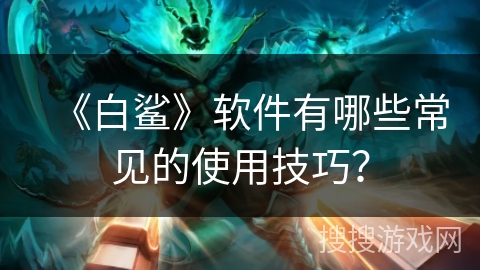 《白鲨》软件有哪些常见的使用技巧？