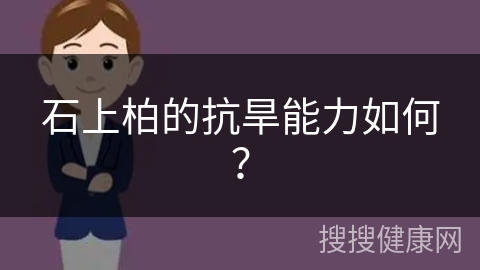 石上柏的抗旱能力如何？