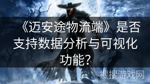 《迈安途物流端》是否支持数据分析与可视化功能？