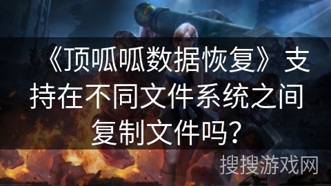 《顶呱呱数据恢复》支持在不同文件系统之间复制文件吗？