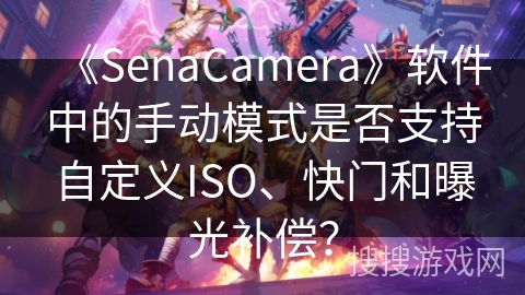 《SenaCamera》软件中的手动模式是否支持自定义ISO、快门和曝光补偿？