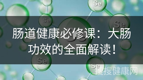 肠道健康必修课：大肠功效的全面解读！