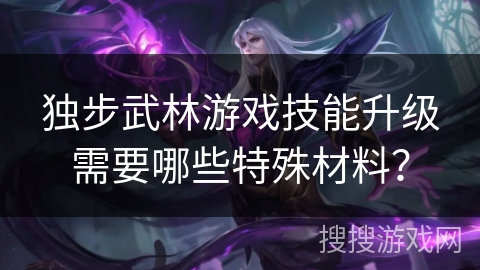独步武林游戏技能升级需要哪些特殊材料？