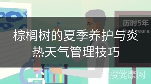 棕榈树的夏季养护与炎热天气管理技巧