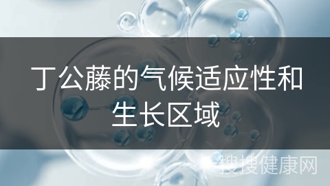 丁公藤的气候适应性和生长区域