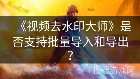 《视频去水印大师》是否支持批量导入和导出？