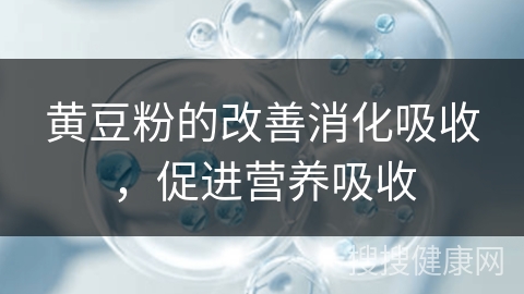 黄豆粉的改善消化吸收，促进营养吸收