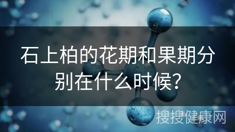 石上柏的花期和果期分别在什么时候？