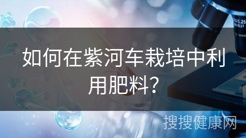 如何在紫河车栽培中利用肥料？