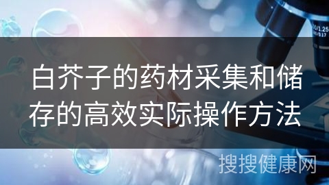 白芥子的药材采集和储存的高效实际操作方法