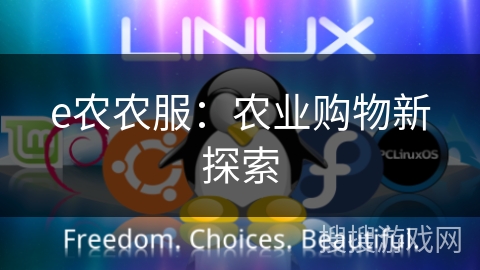 e农农服：农业购物新探索