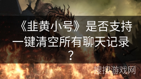 《韭黄小号》是否支持一键清空所有聊天记录？