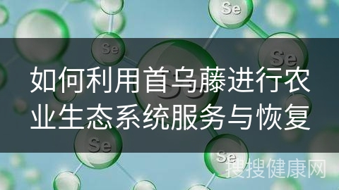 如何利用首乌藤进行农业生态系统服务与恢复