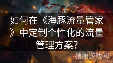 如何在《海豚流量管家》中定制个性化的流量管理方案？