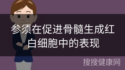 参须在促进骨髓生成红白细胞中的表现