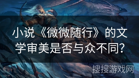 小说《微微随行》的文学审美是否与众不同？