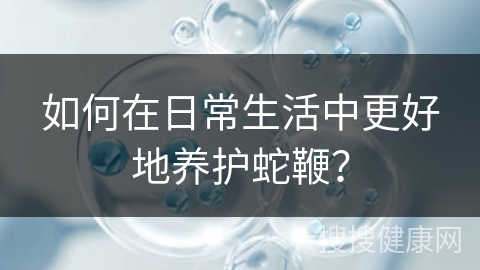 如何在日常生活中更好地养护蛇鞭？