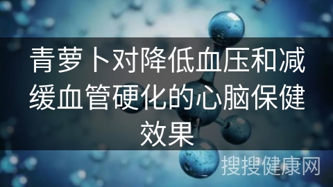 青萝卜对降低血压和减缓血管硬化的心脑保健效果