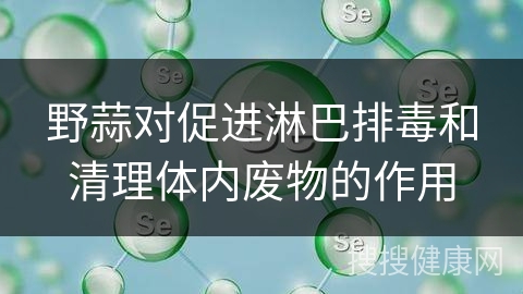 野蒜对促进淋巴排毒和清理体内废物的作用