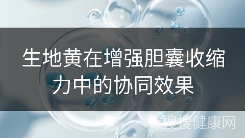 生地黄在增强胆囊收缩力中的协同效果